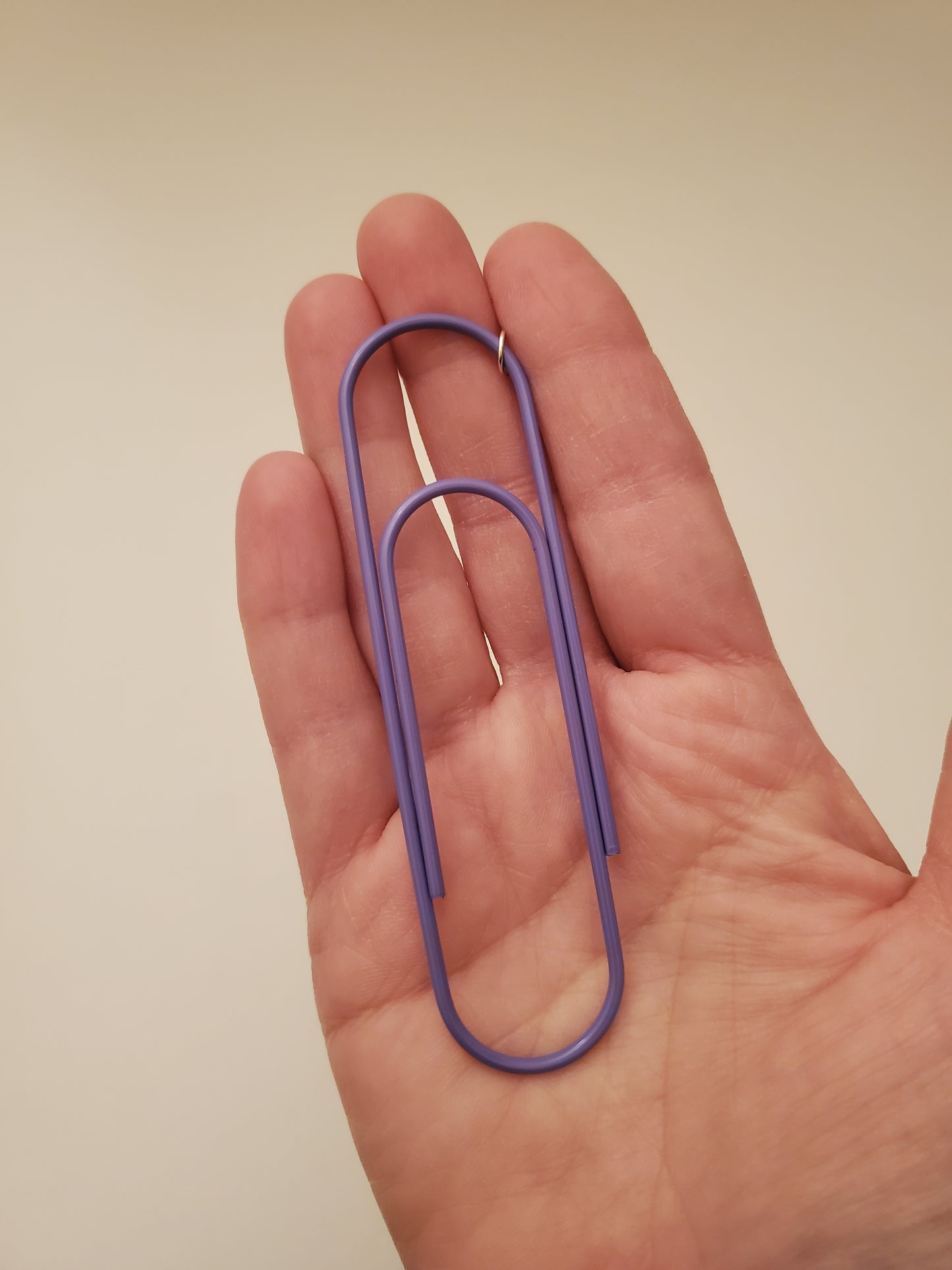 Paper Clip Earrings : Multiple Colors